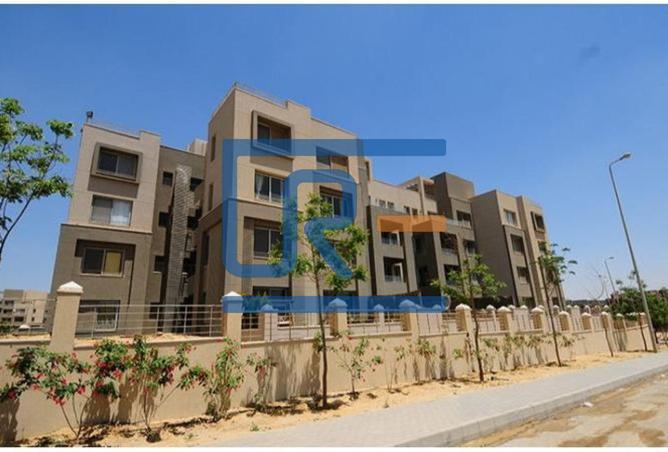 8243499 - صورة العقار 3