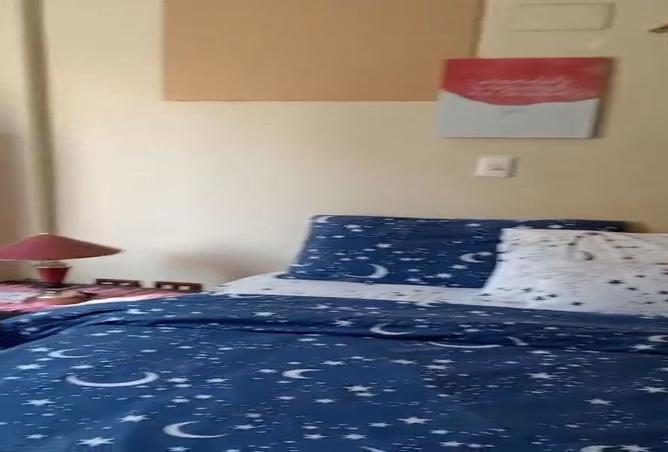 7895827 - Property Image 2