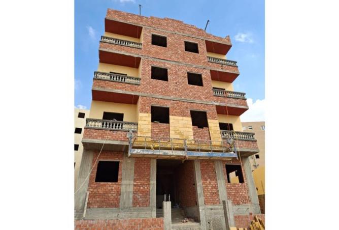 8452006 - Property Image 3