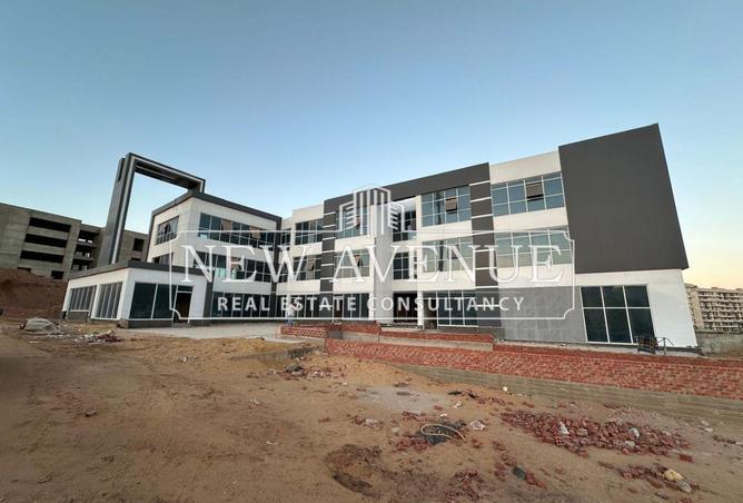 8002423 - Property Image 3