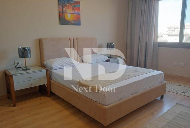 8447753 - Property Image 3