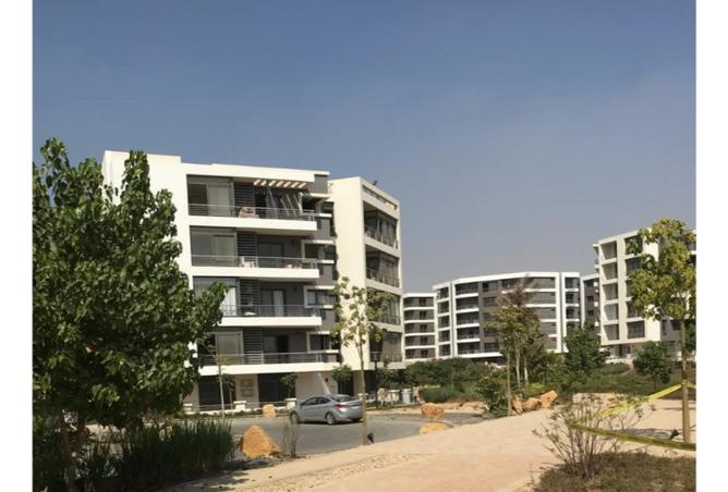 8507289 - Property Image 3