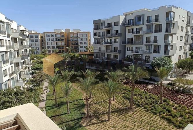 8322330 - Property Image 3