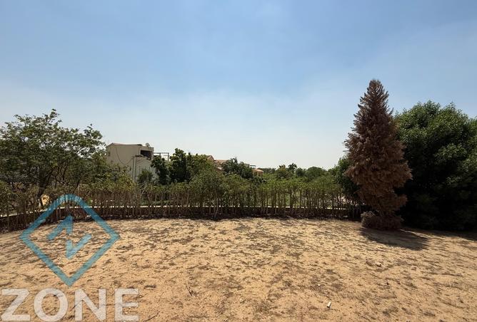 7362297 - صورة العقار 3