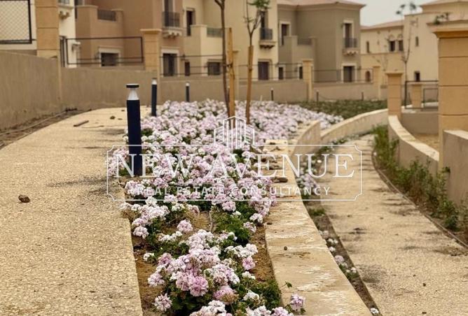 8027766 - Property Image 3