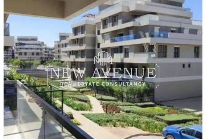 8244137 - Property Image 3