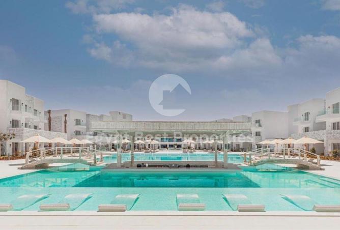 8414602 - Property Image 3