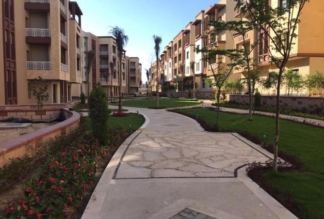 8063886 - Property Image 3