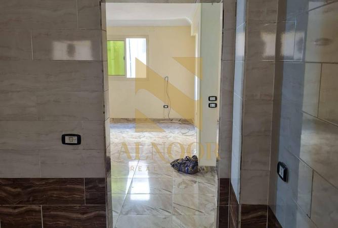 8190325 - Property Image 3