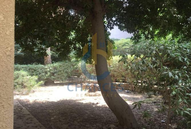 8090903 - Property Image 3