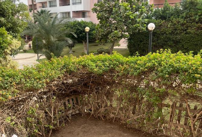 8510124 - صورة العقار 2