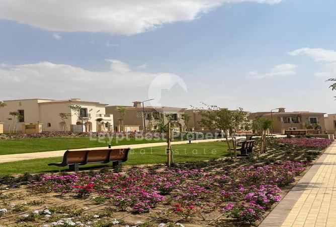 7977997 - Property Image 3