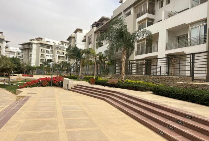 8079226 - Property Image 3