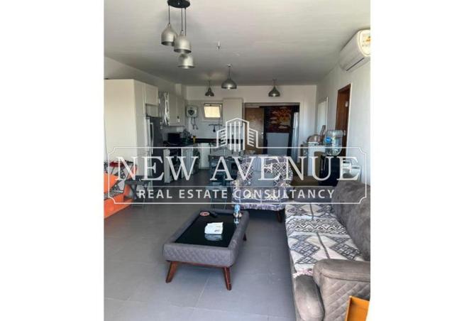 8420272 - Property Image 3