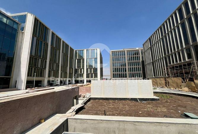 8381558 - Property Image 3