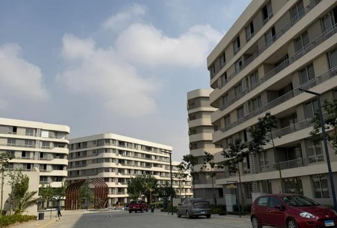 8541804 - Property Image 2