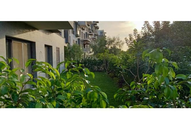 8449839 - صورة العقار 2