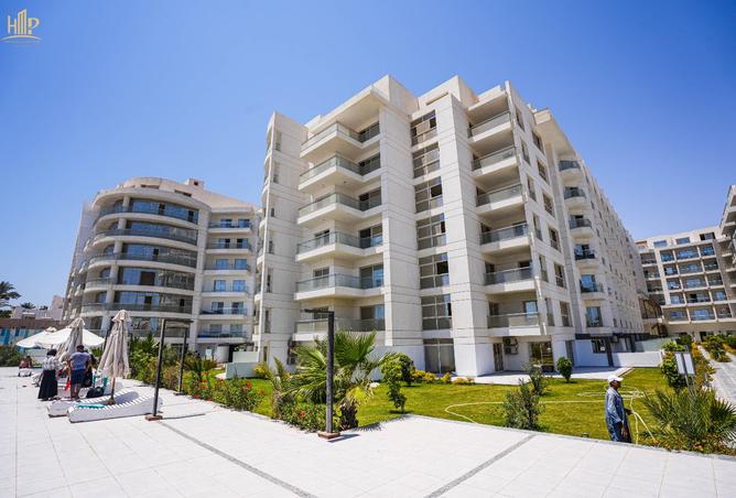 8007728 - Property Image 3