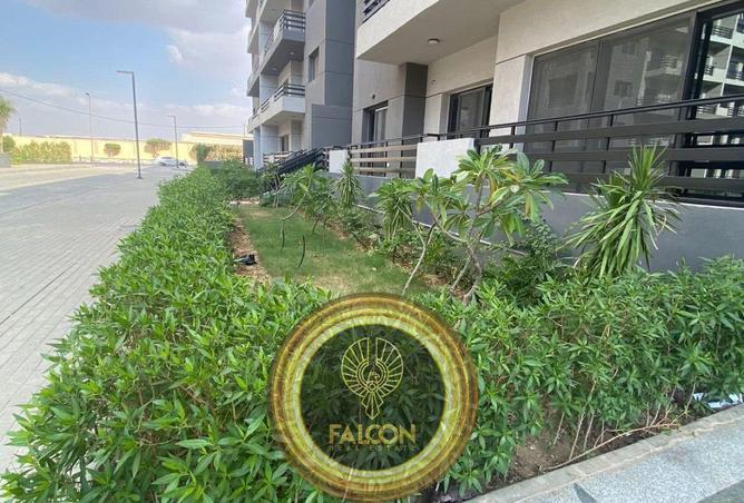 8453311 - Property Image 3