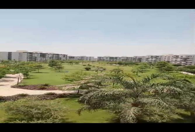 7986536 - Property Main Image