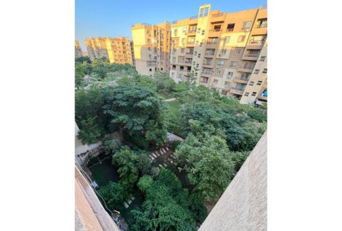 8024118 - صورة العقار 2
