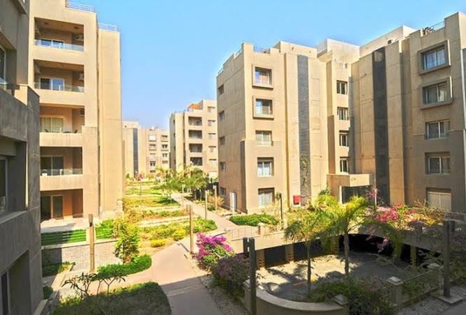 8078167 - الصورة الرئيسية للعقار