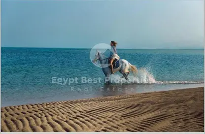 Chalet - 3 Bedrooms - 4 Bathrooms for sale in Ras Soma - Safaga - Hurghada - Red Sea