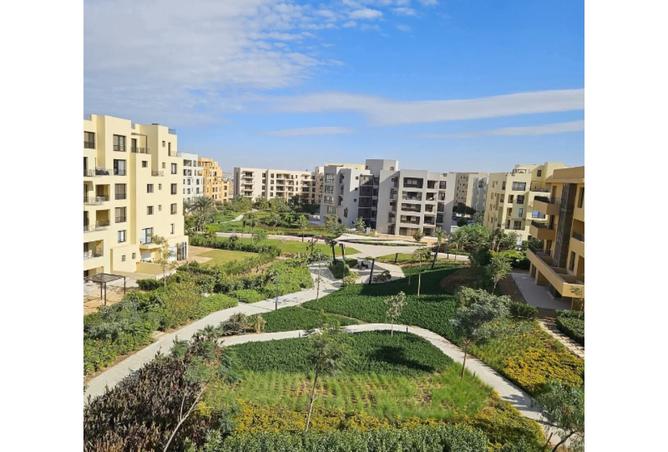 8080162 - الصورة الرئيسية للعقار