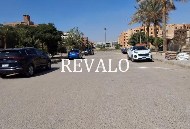 8061281 - Property Image 3