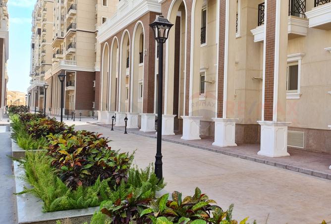 7969977 - صورة العقار 3