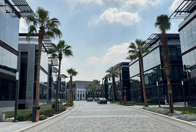 8423703 - Property Image 3