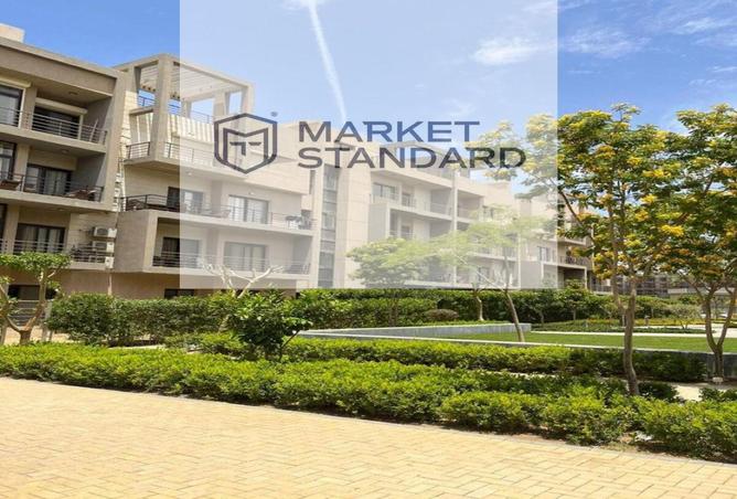 8169835 - Property Image 3