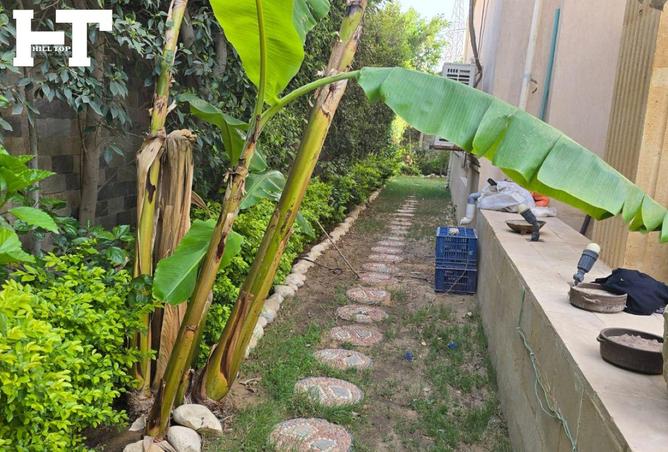 7750242 - Property Image 2