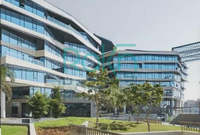 8233379 - Property Image 3