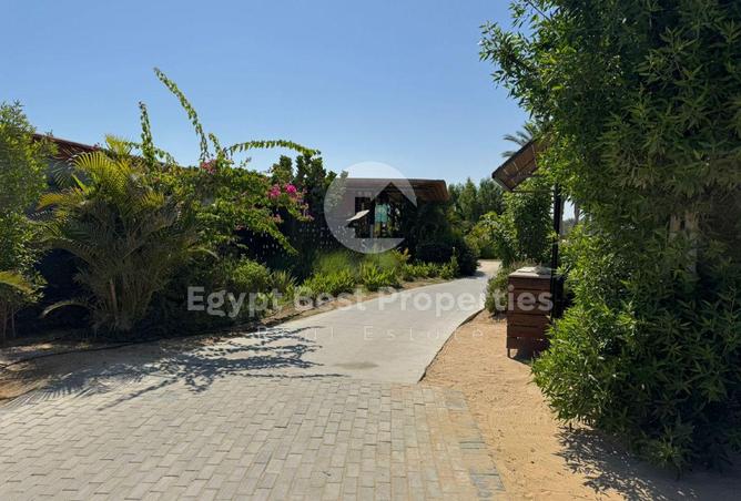 8424959 - Property Image 2