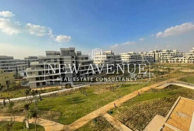 8095415 - Property Image 3