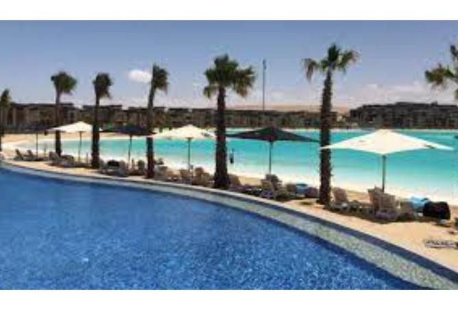 8238833 - Property Image 2