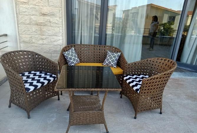 8204697 - Property Image 3