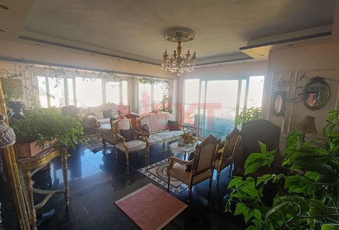 8423993 - Property Image 3