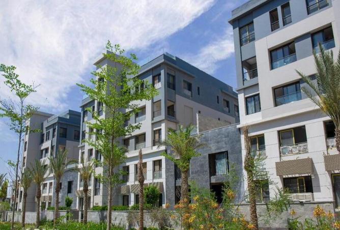 8437440 - Property Image 2