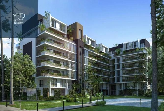 8050877 - Property Image 3