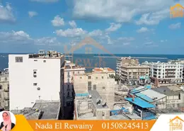 شقة - غرفة نوم - 1 حمام للايجار في شارع نجيب الريحاني - محطة الرمل - حي وسط - الاسكندرية