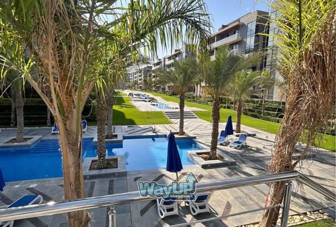 8331359 - Property Image 3