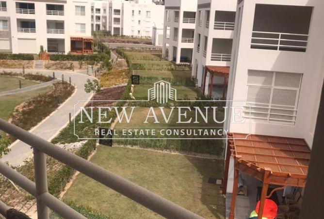 8089610 - Property Image 3