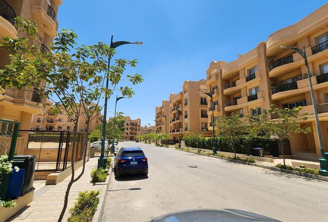 8416874 - Property Image 2