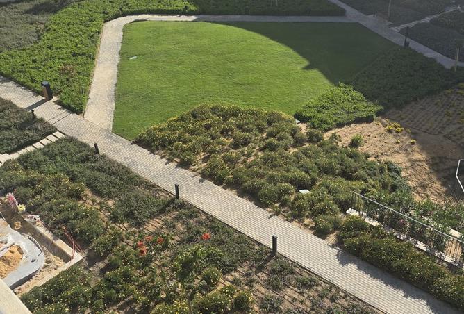 8519469 - Property Image 3