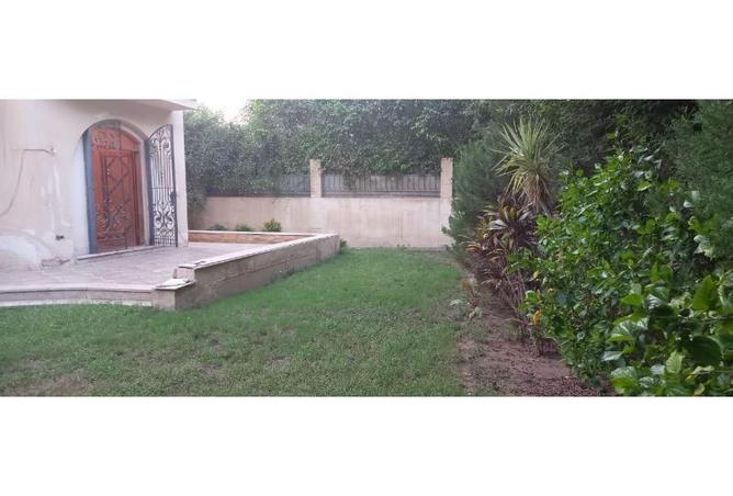 8016823 - صورة العقار 3