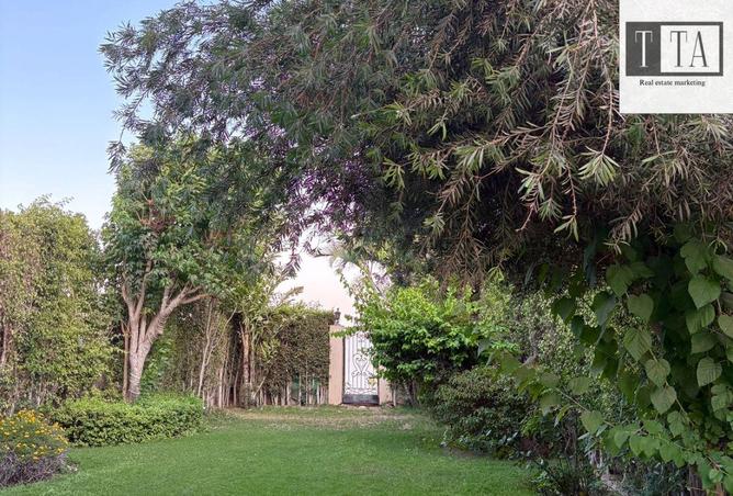 8020617 - Property Image 3