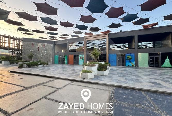 8403665 - Property Image 3