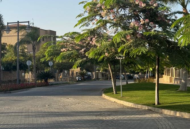 8323546 - Property Image 3